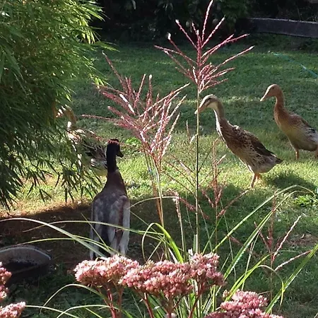 Auszeithaus Brigittenhof