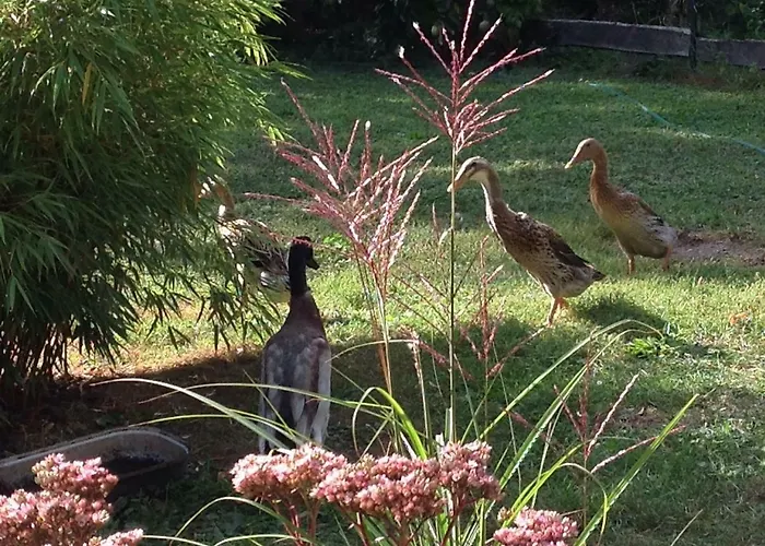 Auszeithaus Brigittenhof