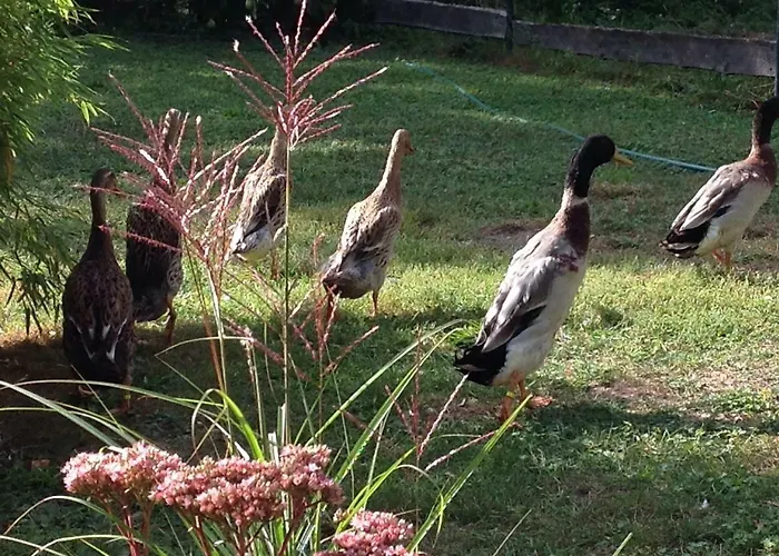 Lägenhet Auszeithaus Brigittenhof Muncheberg